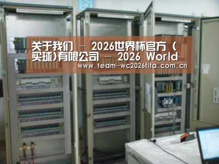 2026世界杯买球官网案例展示五(图1)