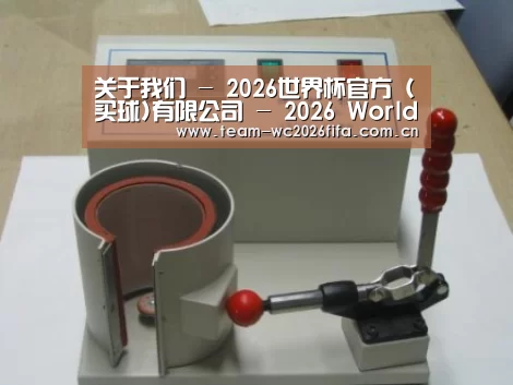 2026世界杯买球官网案例展示六